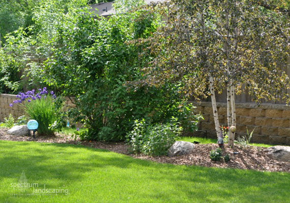 Spectrum Landscaping - Apple Valley, MN Landscaping Company