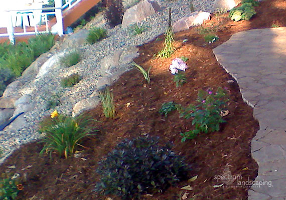 softscapes and hardscapes by Spectrum Landscaping